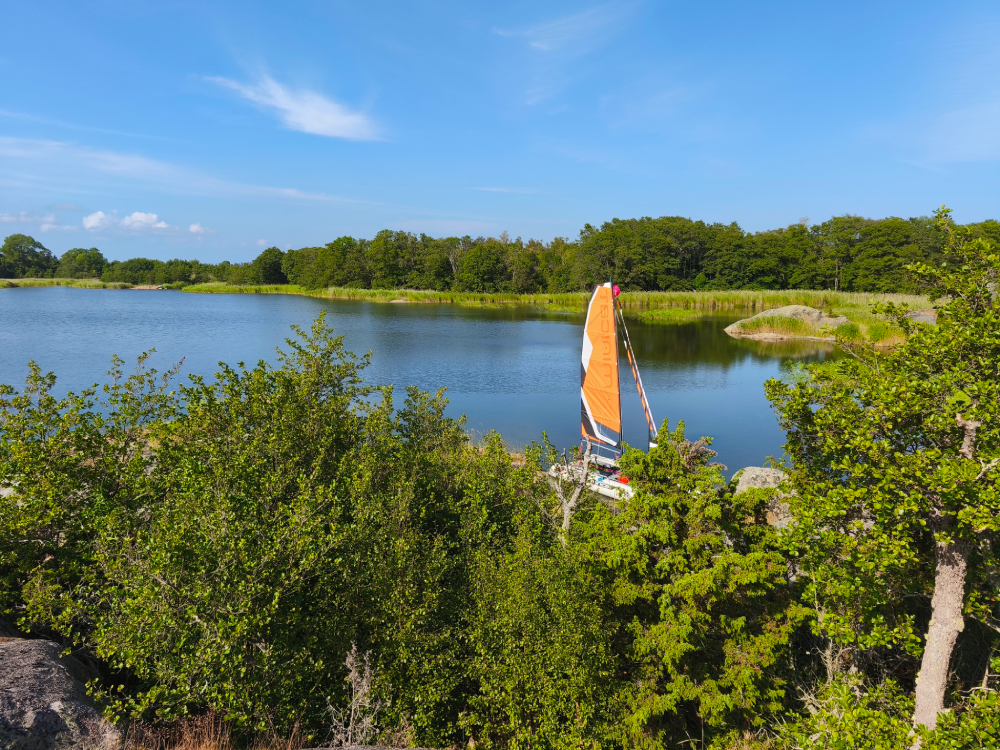 MiniCat 520 Explorer sailing on the first day in the Stockholm Archipelago with a seal sighting.